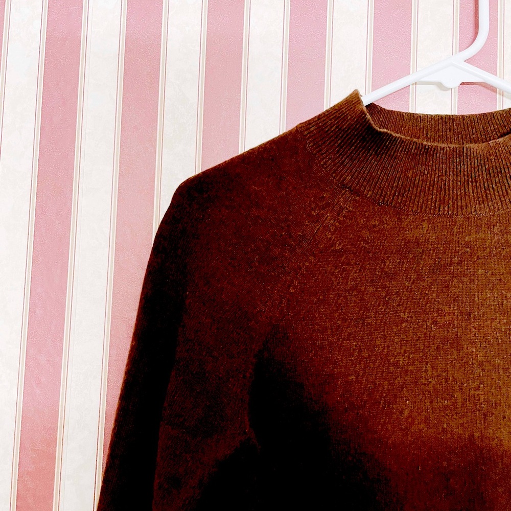 Everlane Cashmere XS sweater